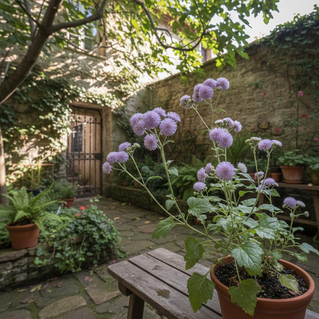 Rauhfarn-Körbchenblume (Emilia sonchifolia)