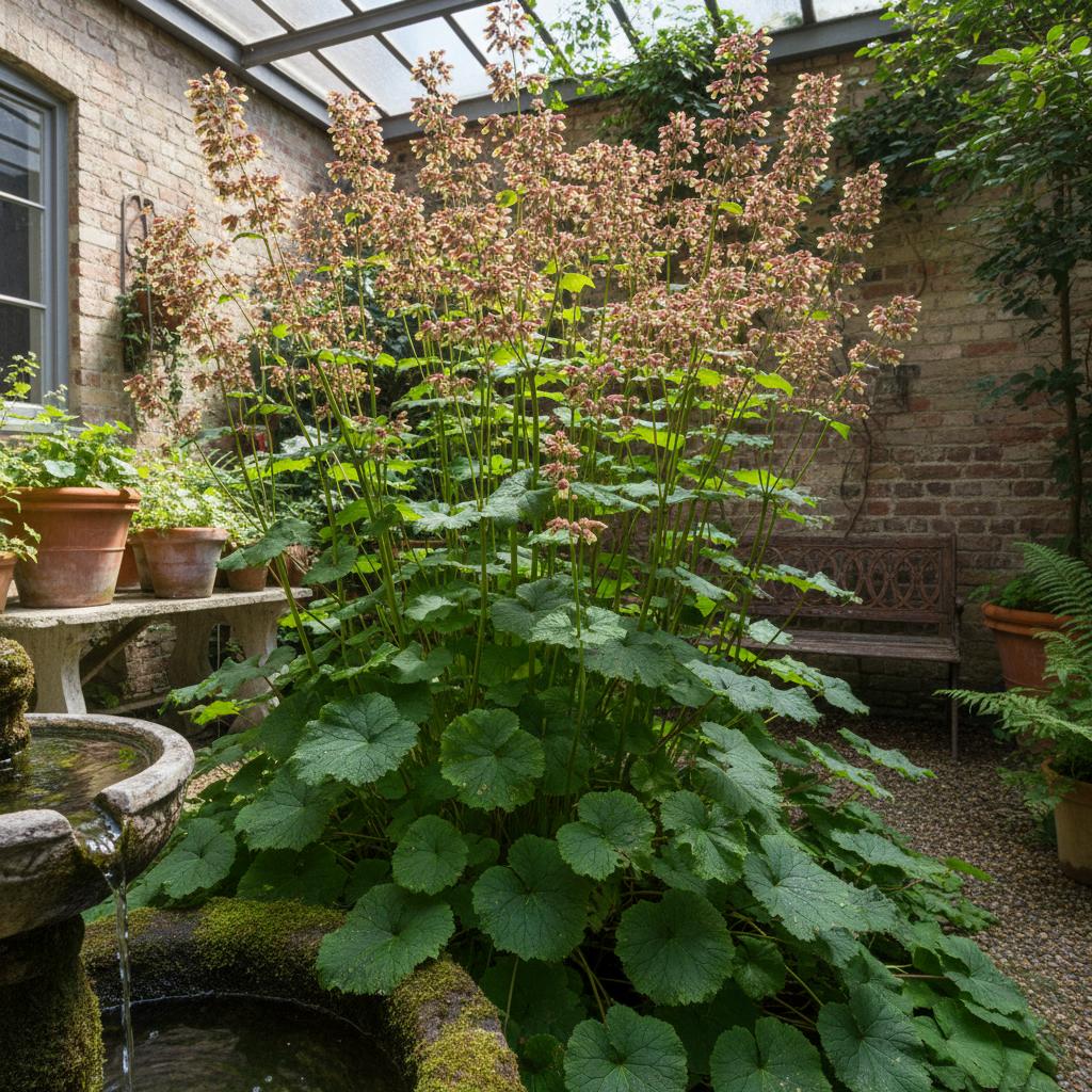 Wasser-Fingerkraut (Scrophularia auriculata)