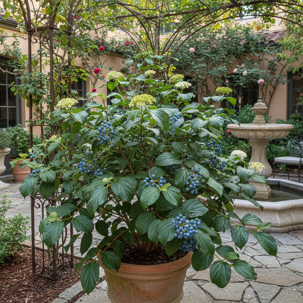 David-Schneeball (Viburnum davidii)